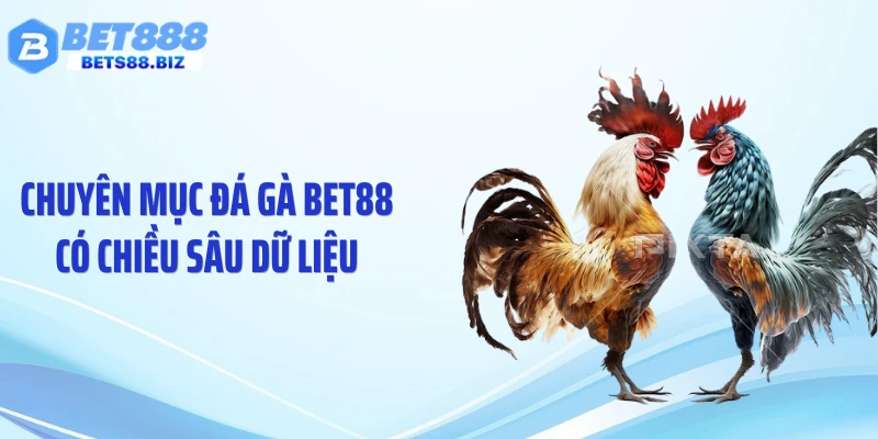 Chuyên mục đá gà BET88 có chiều sâu dữ liệu
