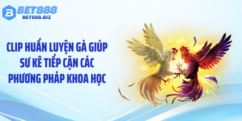 Clip huấn luyện gà giúp sư kê tiếp cận các phương pháp khoa học
