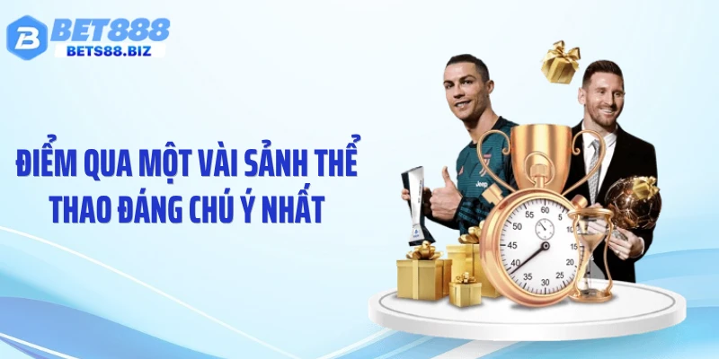 Điểm qua một vài sảnh thể thao đáng chú ý nhất