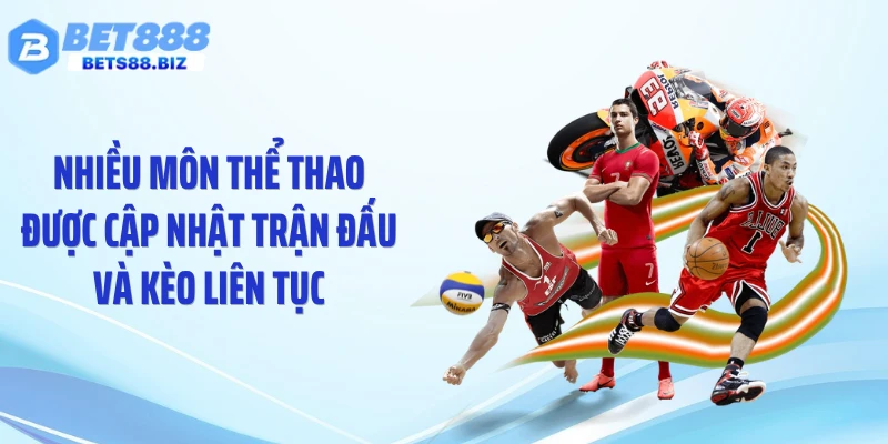 Nhiều môn thể thao được cập nhật trận đấu và kèo liên tục