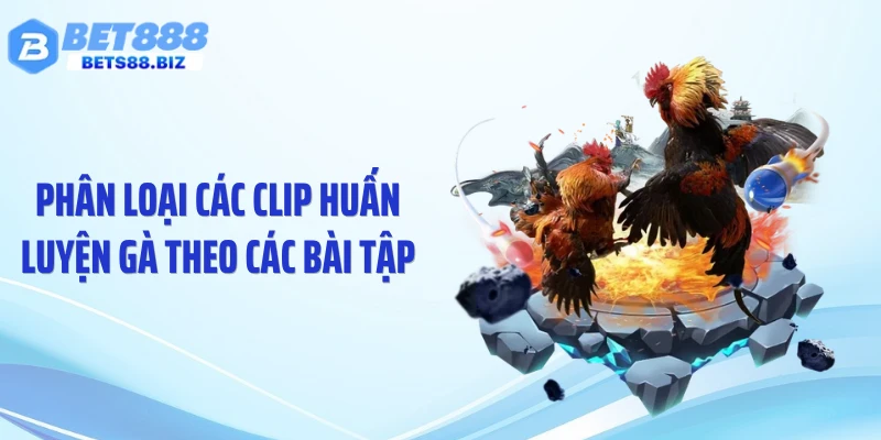 Phân loại các clip huấn luyện gà theo các bài tập
